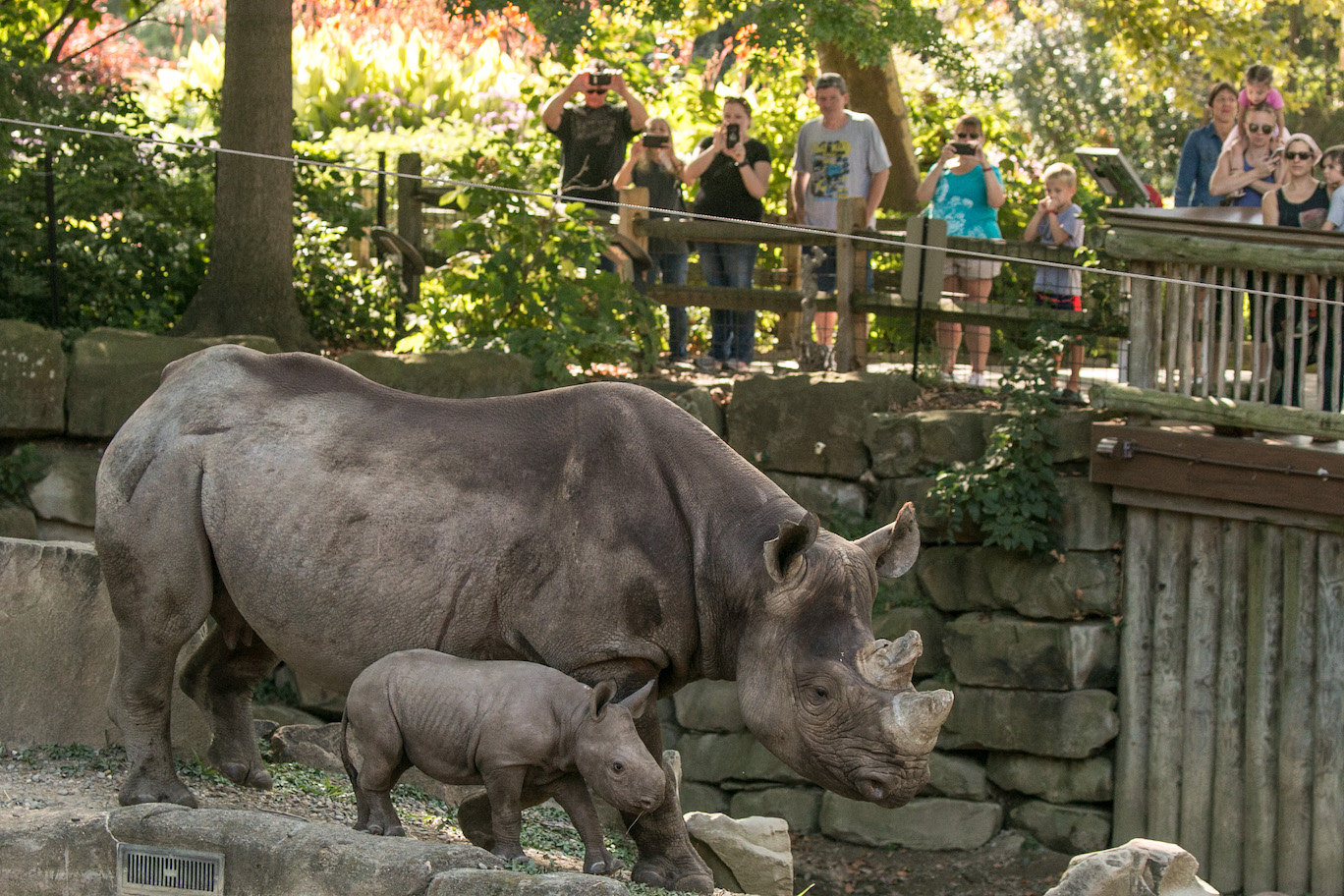 cleveland pmetro zoo